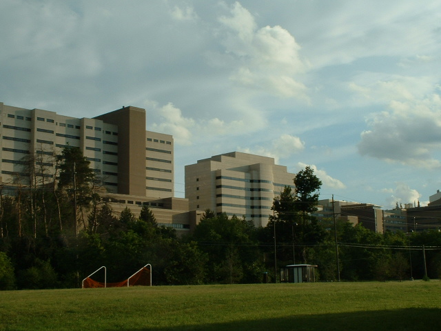 Szpital w zblizeniu